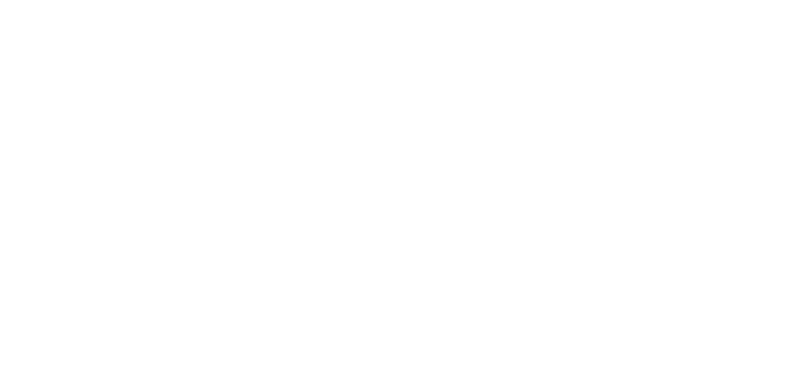 did_logo